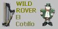 Wild Rover
